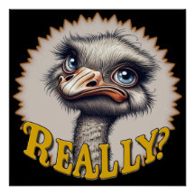 Really Ostrich Glossy Poster