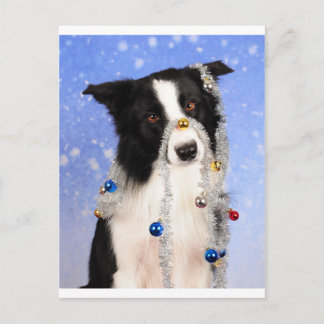 Really? Postcard