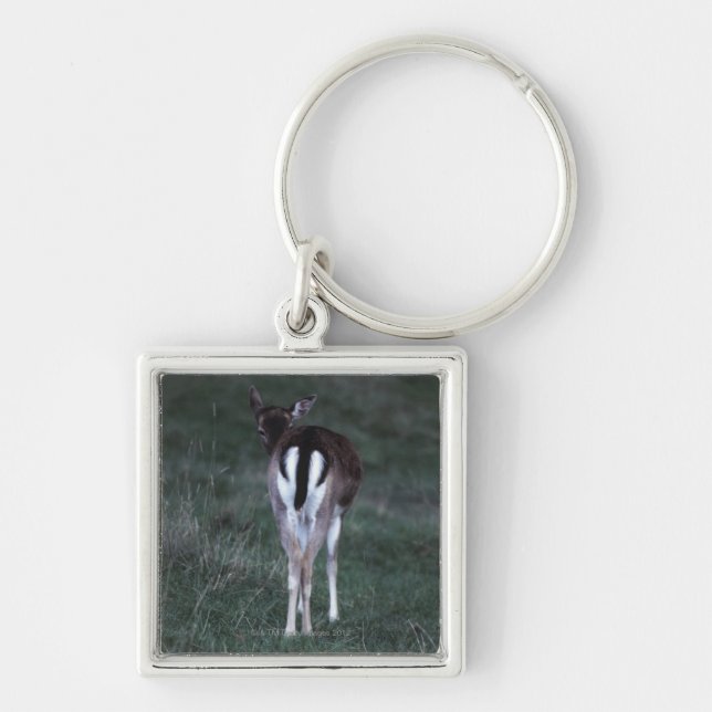 Rear view of a deer , New Zealand Key Ring (Front)
