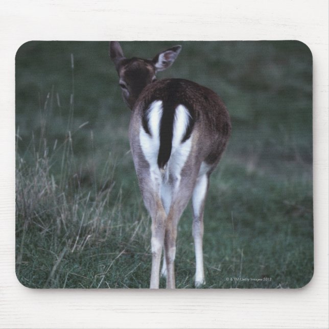 Rear view of a deer , New Zealand Mouse Mat (Front)