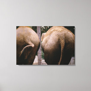 Rear view of Asian elephants Canvas Print