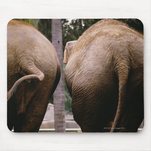 Rear view of Asian elephants Mouse Mat (Front)