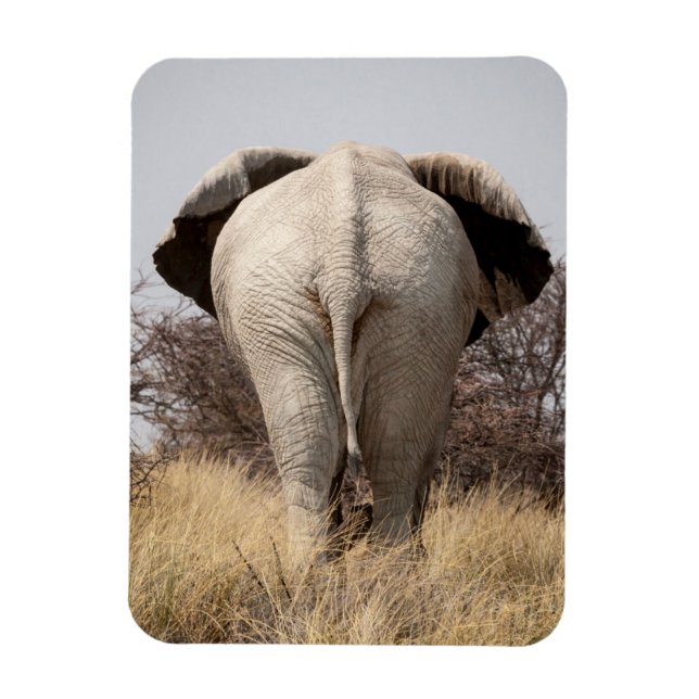 Rear view of elephant magnet (Vertical)