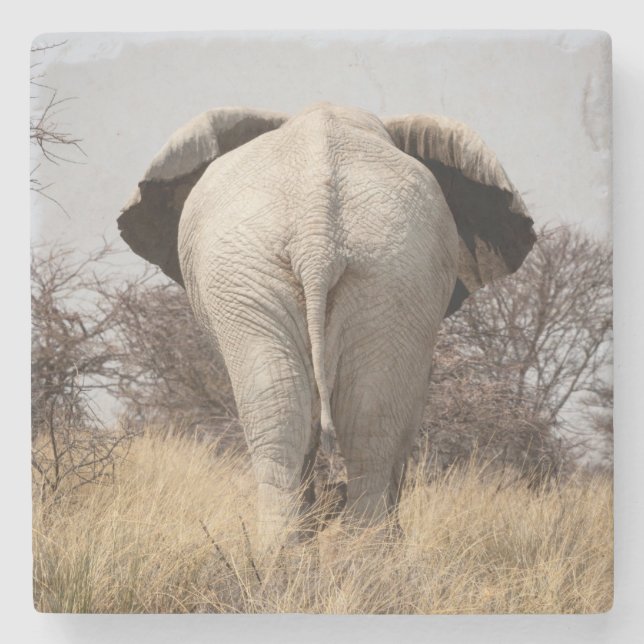 Rear view of elephant stone coaster (Front)