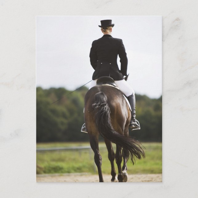 rear view of female dressage rider exercising postcard (Front)
