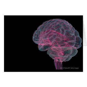 Rear view of the human brain