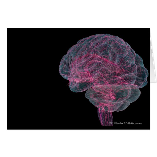 Rear view of the human brain (Front Horizontal)