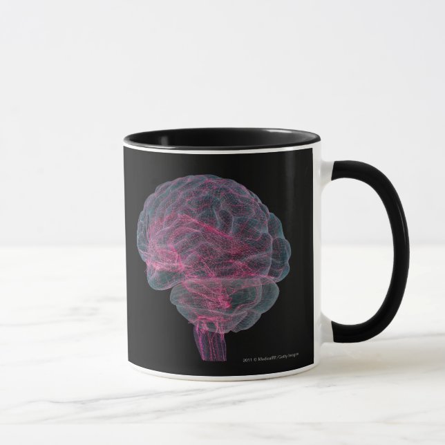Rear view of the human brain mug (Right)