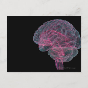 Rear view of the human brain postcard