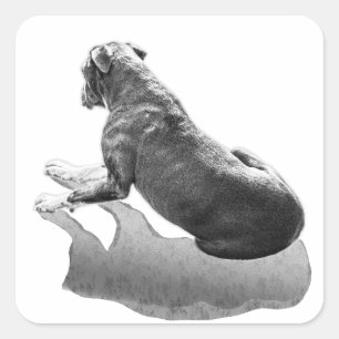 Rear View Rest – Canine Ink Portrait Square Sticker