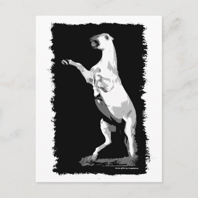 Rearing Andalusian Stallion Postcard (Front)