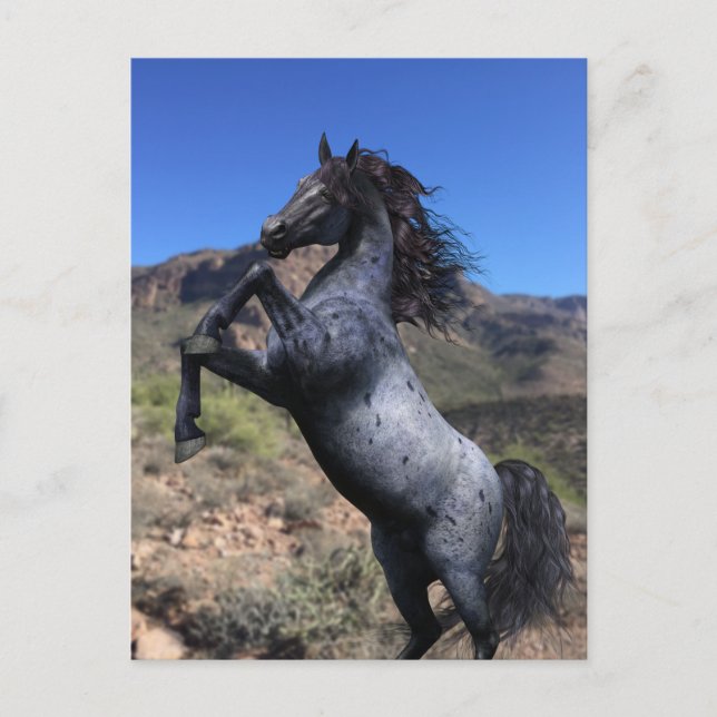 Rearing Blue Roan Horse in the Desert Postcard (Front)