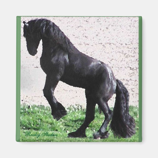 Rearing Friesian magnet (Front)