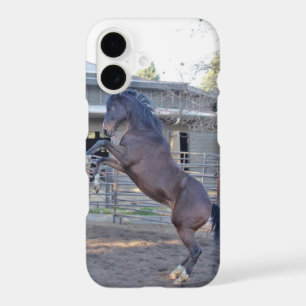 Rearing Horse 1