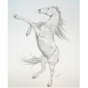 Rearing Horse, Acrylic Sculpture Standing Photo Sculpture