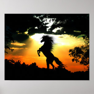Rearing horse at sunset poster