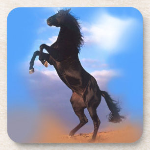 Rearing Horse Coaster