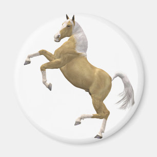 Rearing horse magnet