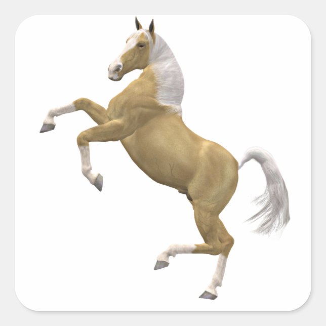 Rearing horse square sticker (Front)