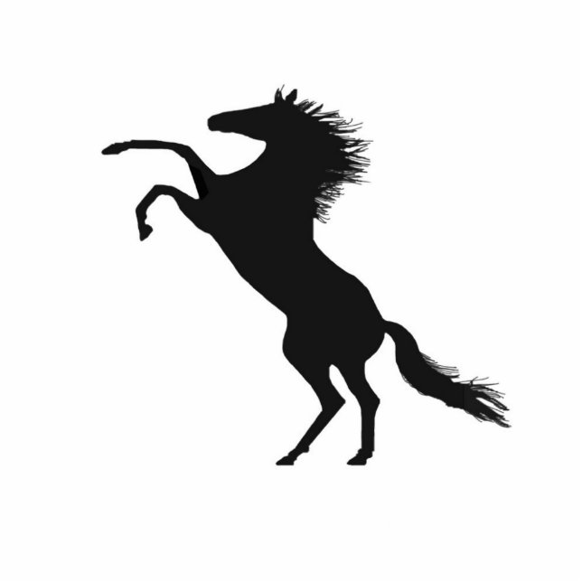 Rearing horse standing photo sculpture (Front)