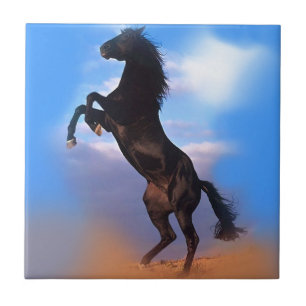 Rearing Horse Tile