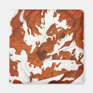 Rearing Paint Horse Magnet