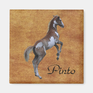 Rearing Pinto Pony Horse-lover Gift Magnet