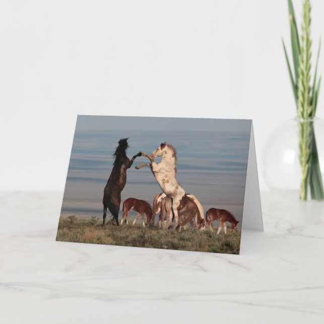 Rearing Stallions Greeting Card (Front)