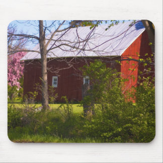 reb barn mouse mat
