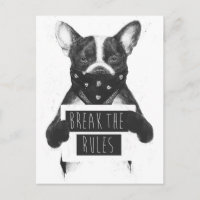 Rebel dog