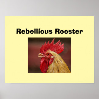 Rebellious Rooster Poster