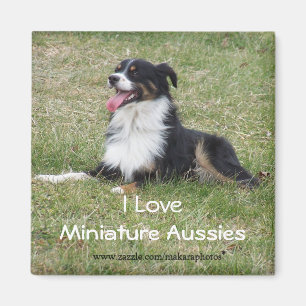 RebelMagnet-customise Magnet