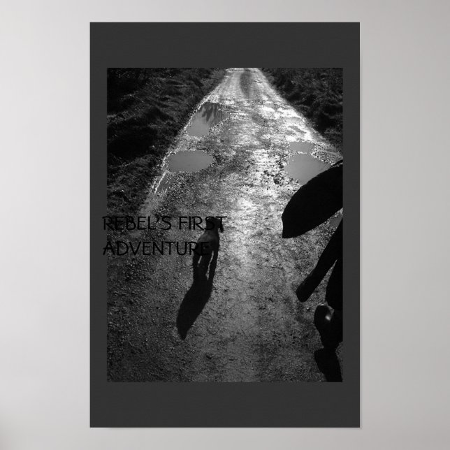 Rebel's first adventure poster (Front)