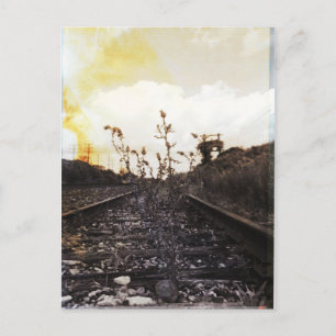Rebirth Between the Rails Postcard