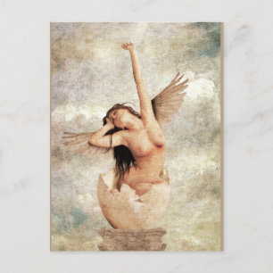 Rebirth Postcard