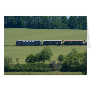 Reblaus Express