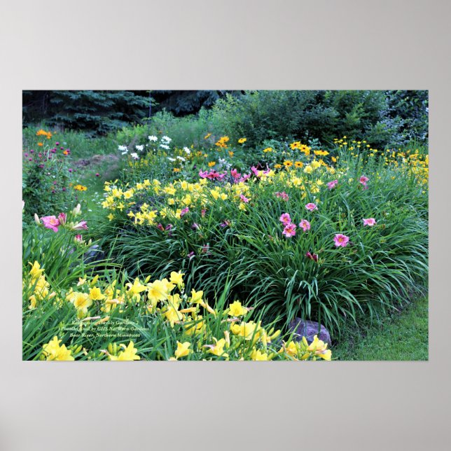 Reblooming Daylily Gardens Poster (Front)