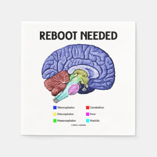 Reboot Needed Brain Anatomy Geek Humour Napkin