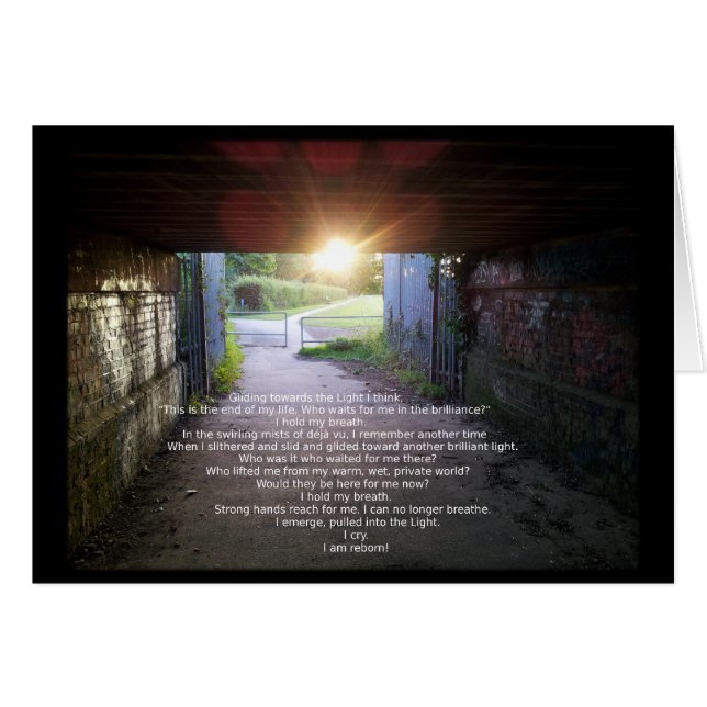 Reborn by Fredi Stewart (Front Horizontal)