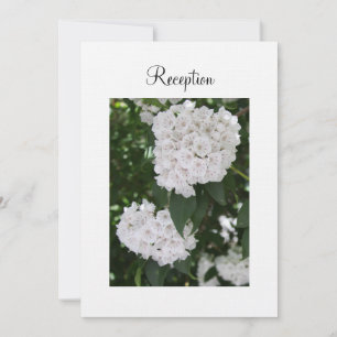 Reception Invitation White Wedding Mountain Laurel
