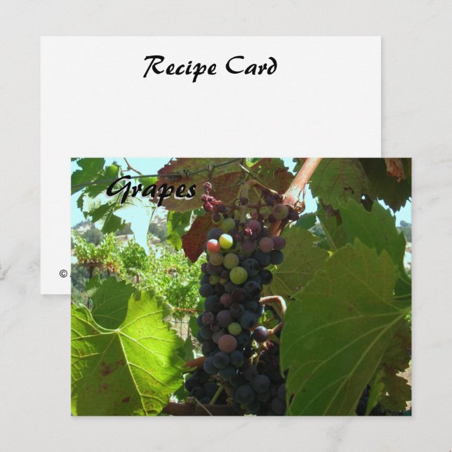 Recipe Card - Grapes on vine (Front/Back)