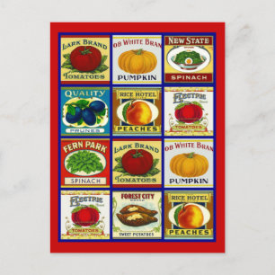 Recipe Card Postcard Design To Share Fav Recipes