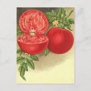 Recipe Card Postcard Design To Share Fav Recipes