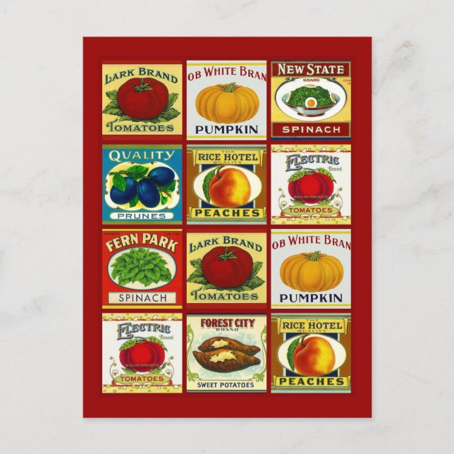 Recipe Card Postcard Design To Share Fav Recipes (Front)