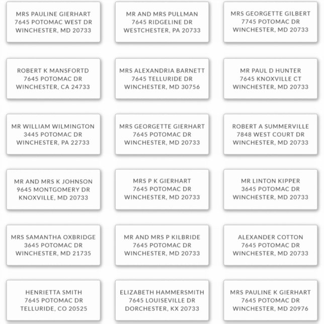 Recipient Name 18 Shipping Large Address Labels (Front)