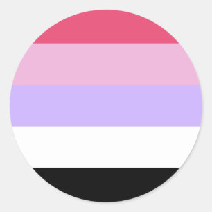 Reciprosexual Pride Flag Classic Round Sticker