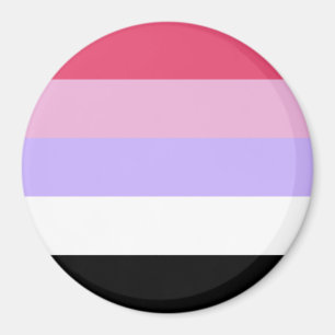 Reciprosexual Pride Flag Magnet