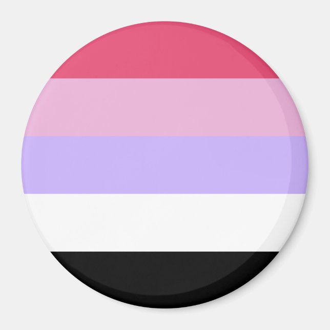 Reciprosexual Pride Flag Magnet (Front)
