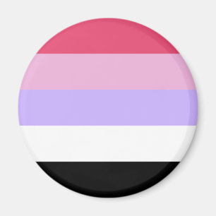 Reciprosexual Pride Flag Magnet