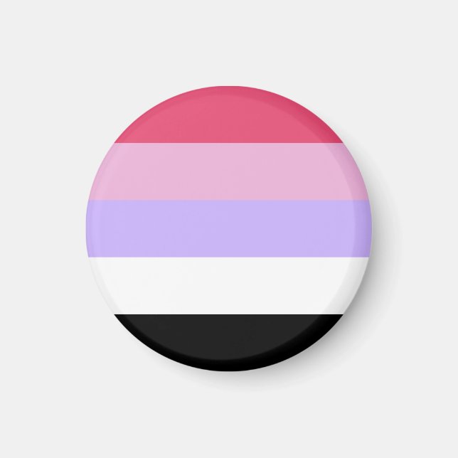 Reciprosexual Pride Flag Magnet (Front)